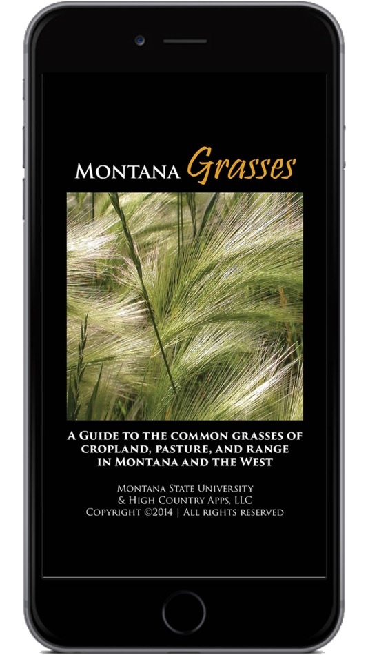 Montana Grasses - 13.04 - (iOS)