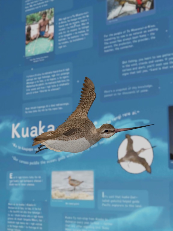 Screenshot #4 pour Tuia Mātauranga