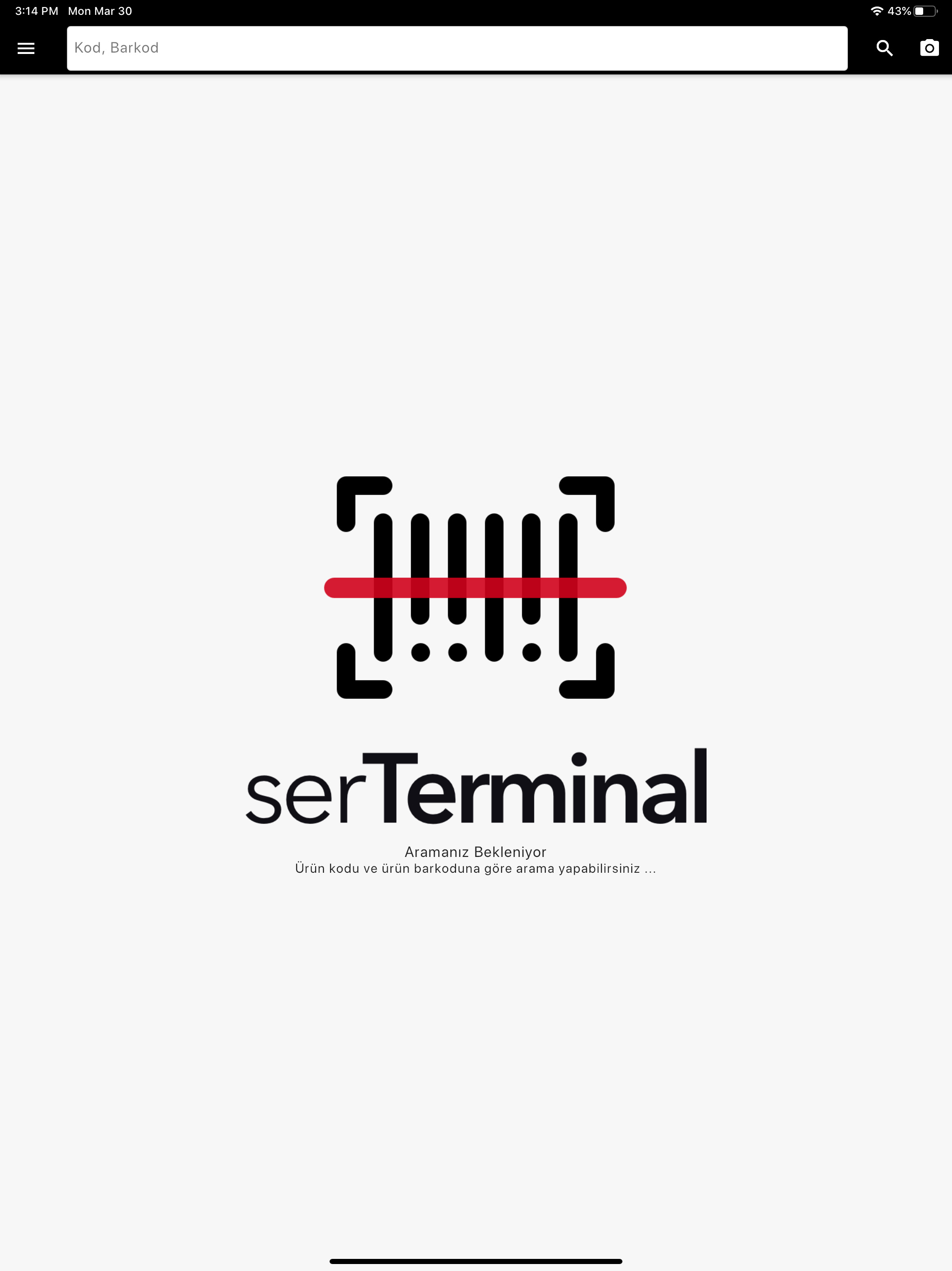 serTerminal