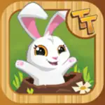 Tunnel Town App Support