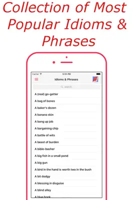 Game screenshot Idioms & Phrases (English) mod apk