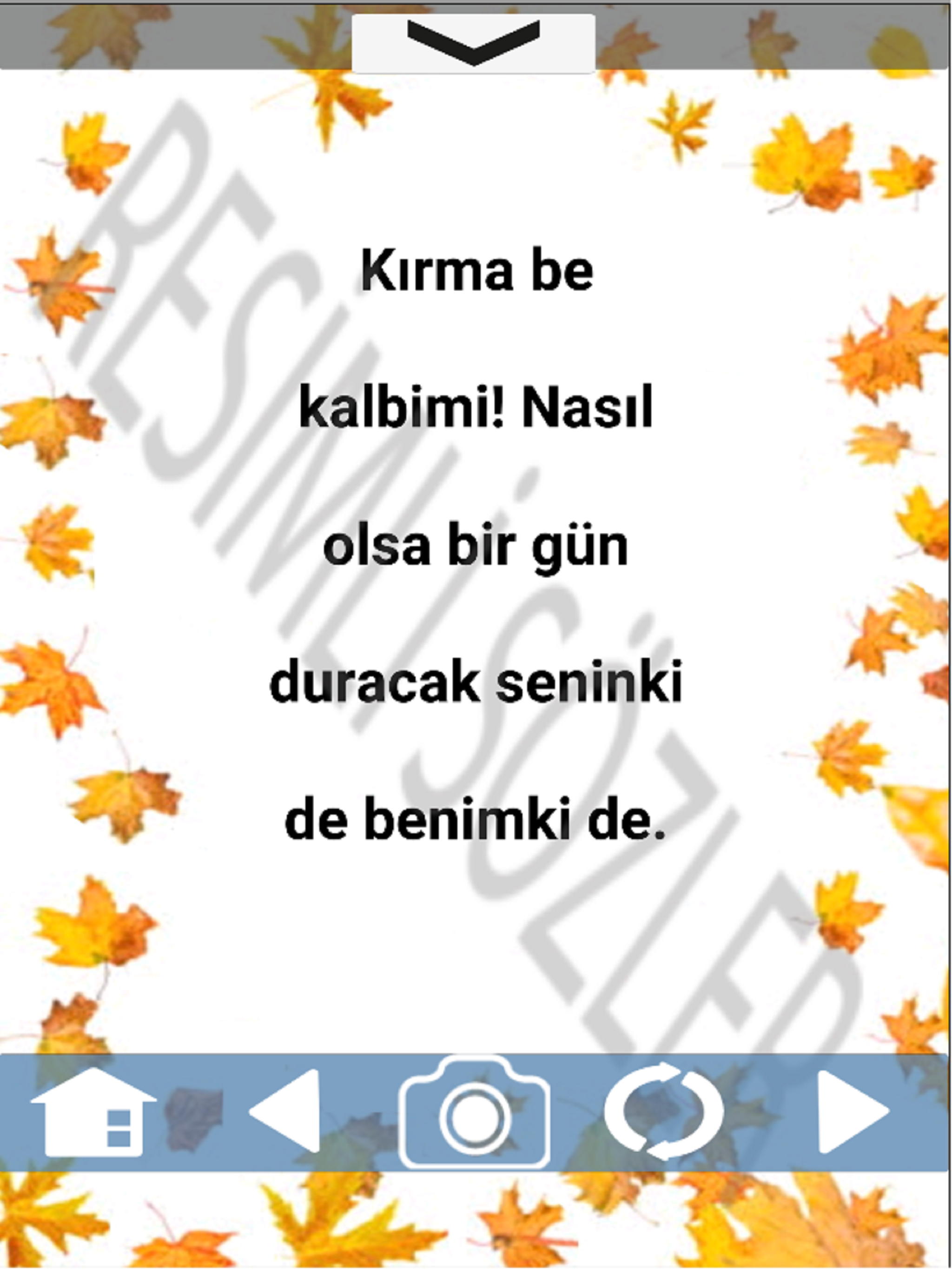 Resimli Sözler