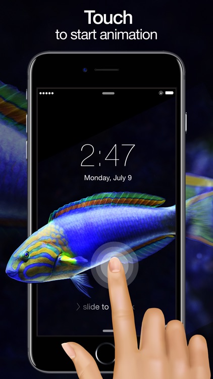 Aesthetic Live Wallpapers