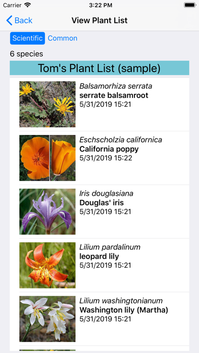 North California Wildflowers Screenshot