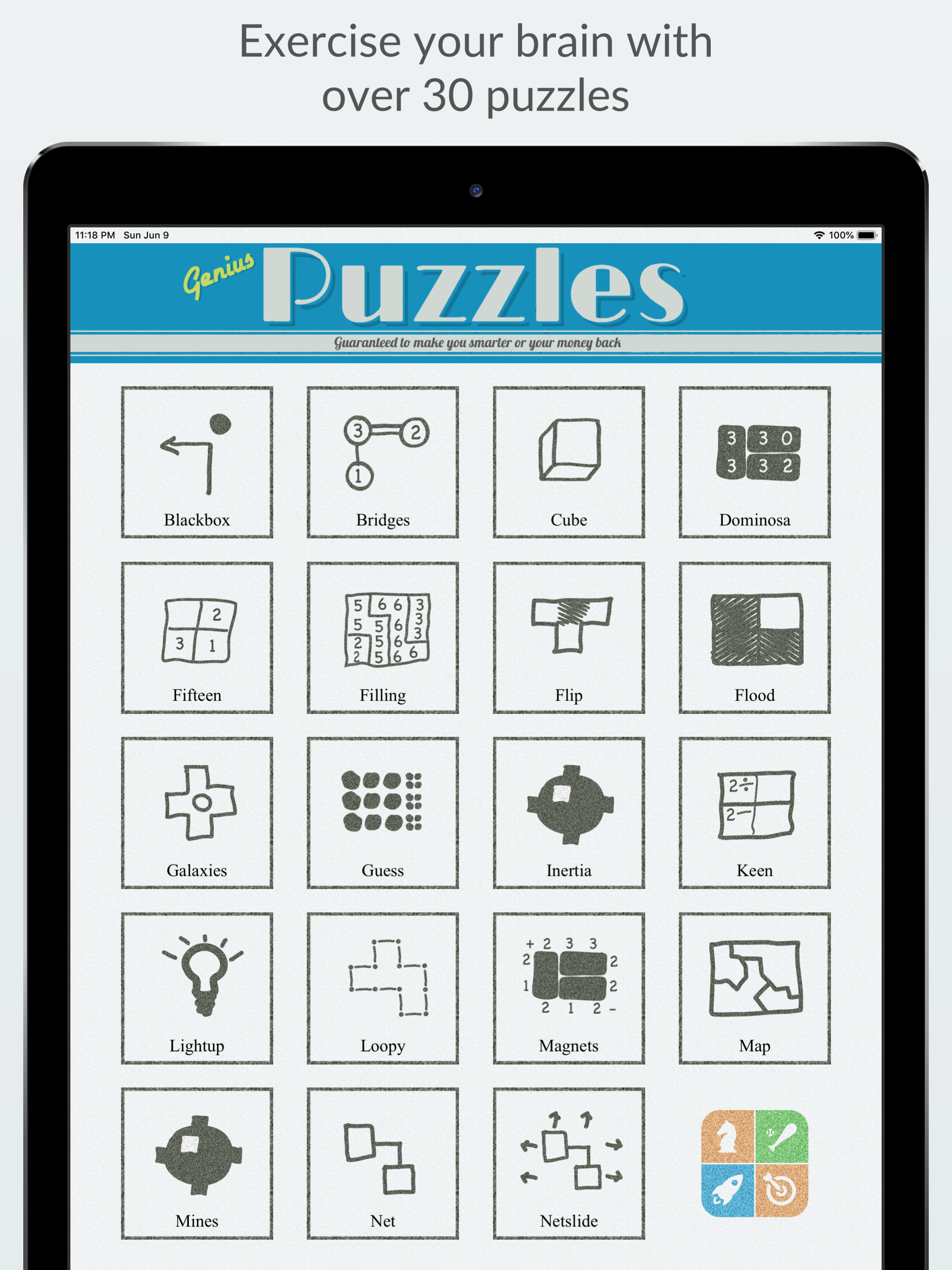 Genius Puzzles screenshot 4