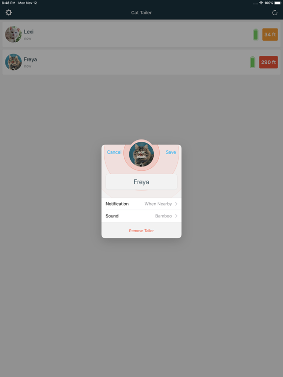 Cat Tailer iPad screenshot 6 - Lifestyle app