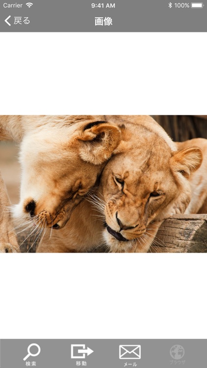 DL-Picture Image sercher screenshot-4