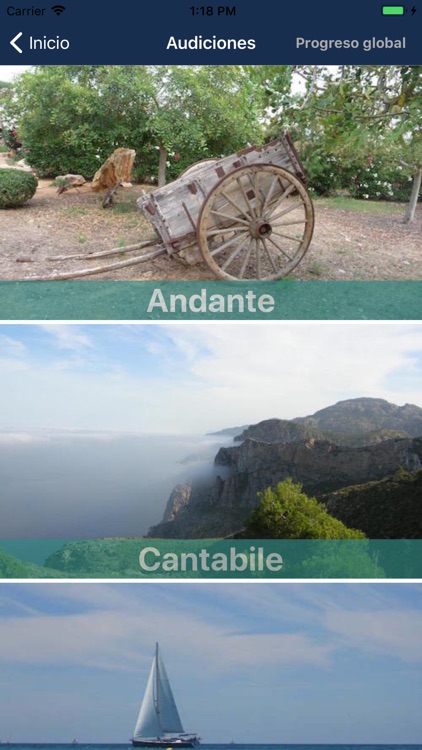 Entrenamiento Musical Atención