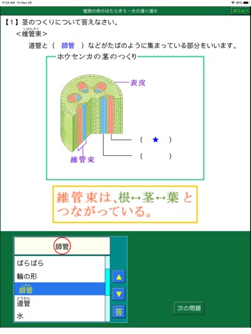 楽しい理科小６（ダンケ）のおすすめ画像2