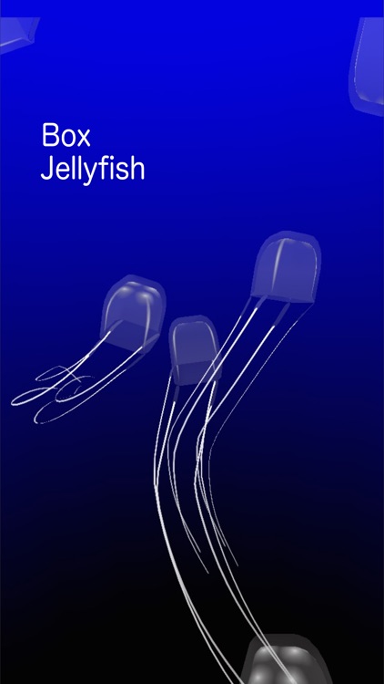 Jellyfish AR/VR
