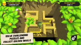 Game screenshot Temple Trap 3D hack