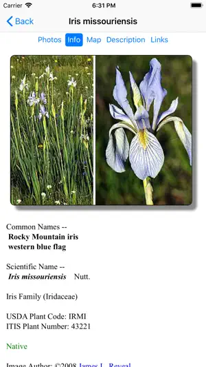 New Mexico Wildflowers screenshot 3