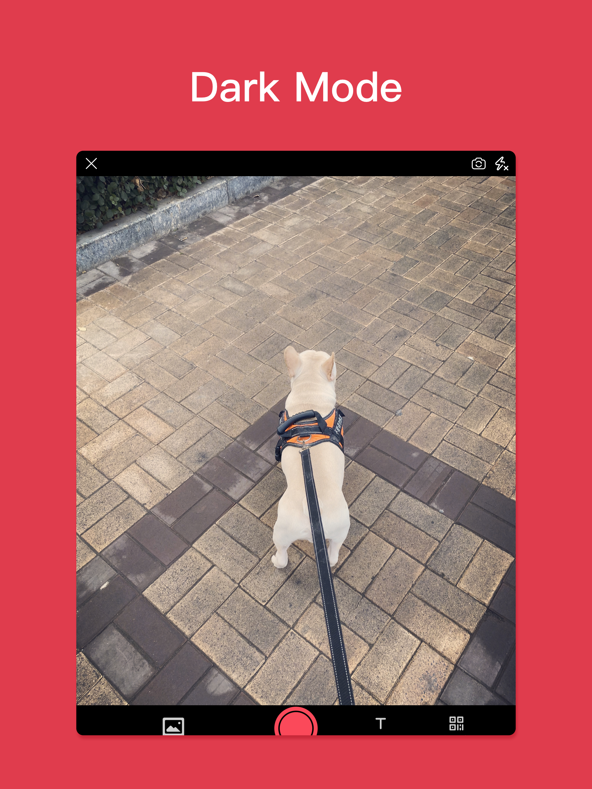 Delogo - Video editing tool