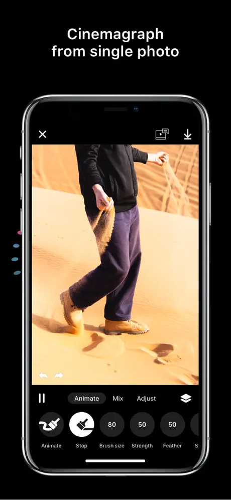 Disflow - Motion Image Editor