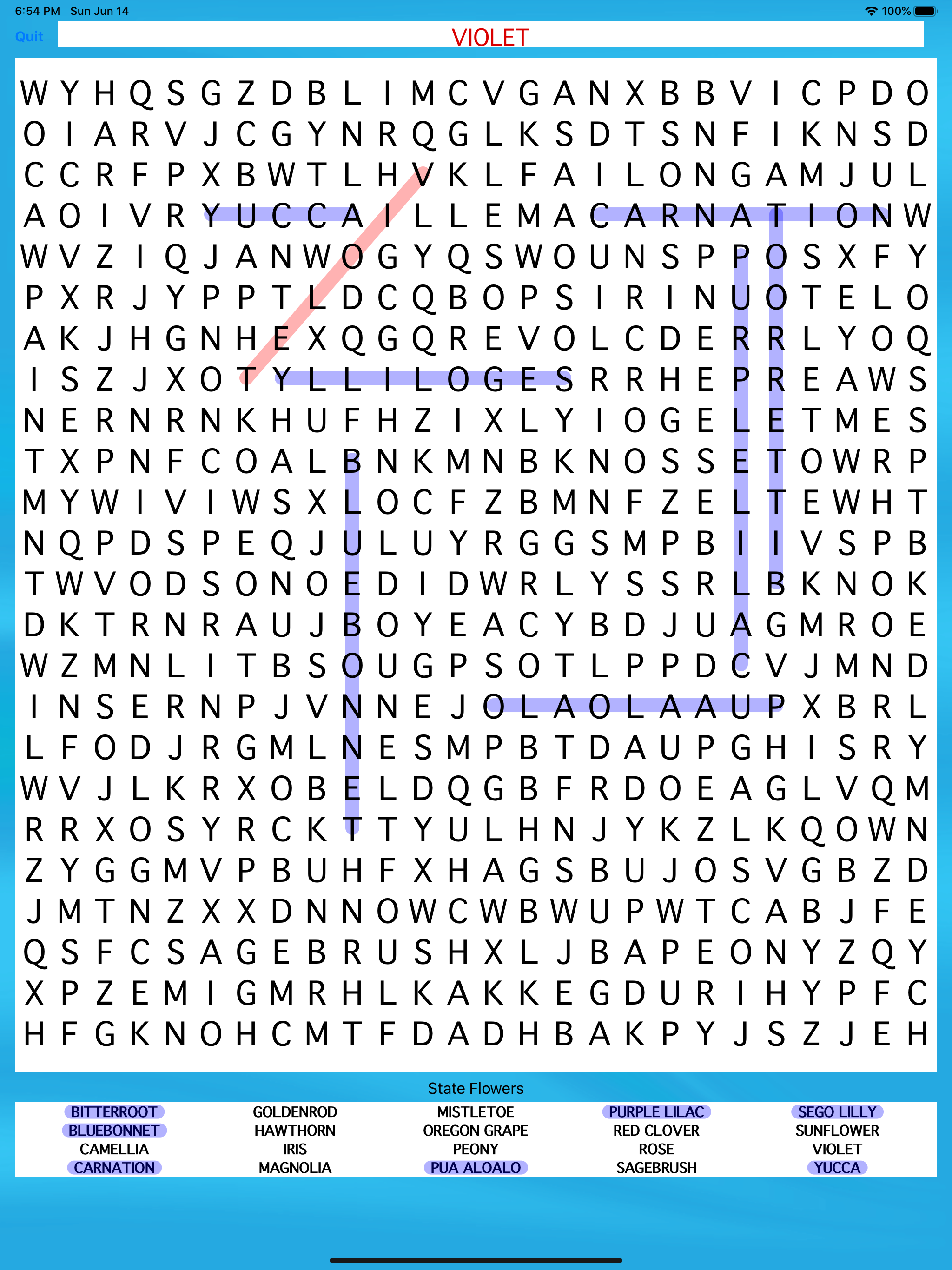 United States Word Search