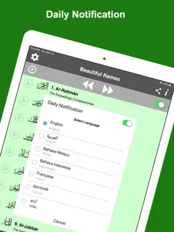 99 Names of Allah (Pro) iPad image 4