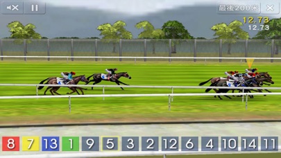 Race Simulator iPhone screenshot 4 - Sports app