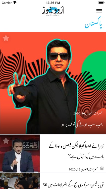 urdunewspaper screenshot-3