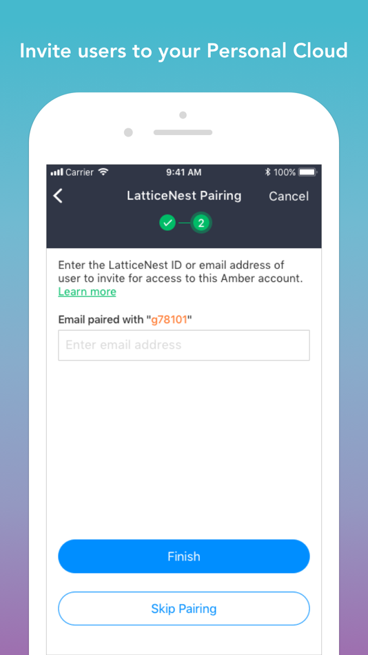 #4. Amber Manager (iOS) 게시자: LatticeWork Inc.