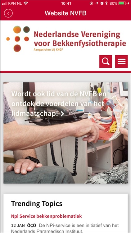NVFB Bekkenfysiotherapie