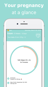 Pregnancy Week Tracker screenshot