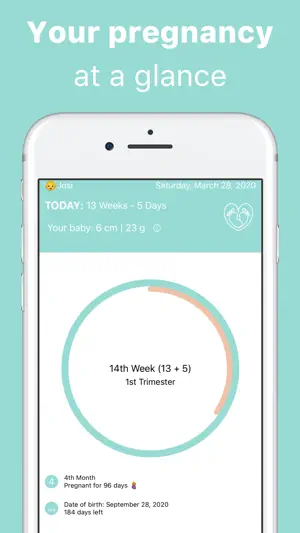 Pregnancy Week Tracker screenshot 1