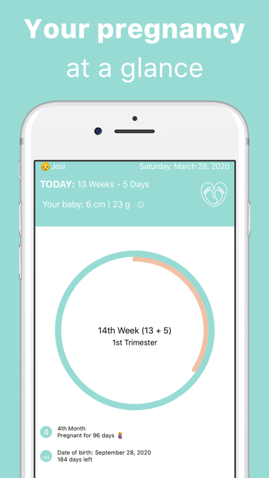 Pregnancy Week Tracker Screenshot