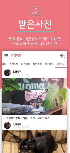 IntoPet(圖2)-速報App