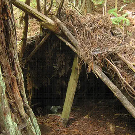 Bushcraft Cheats