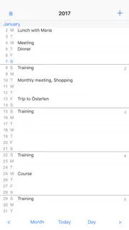 month view calendar problems & solutions and troubleshooting guide - 1