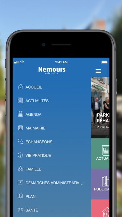 Ville de Nemours Screenshot