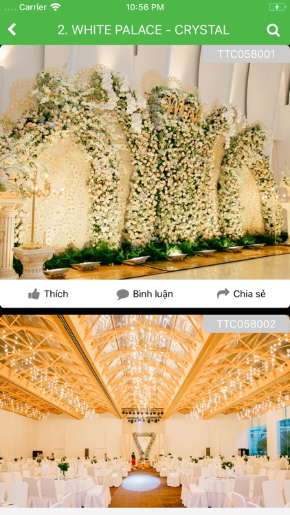 GBROWN FLOWER screenshot-3