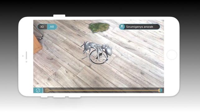 Insects3D(圖5)-速報App