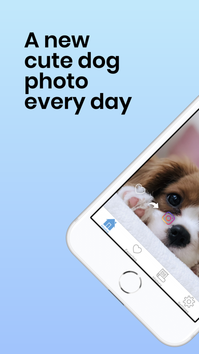 Daily Cute Dogs Photos Screenshot