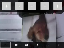 GreenCam iPad image 2