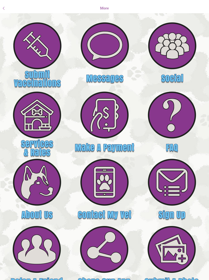 All Aboard Doggie Daycare