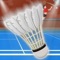 Badminton is a very popular sports games among Asian games