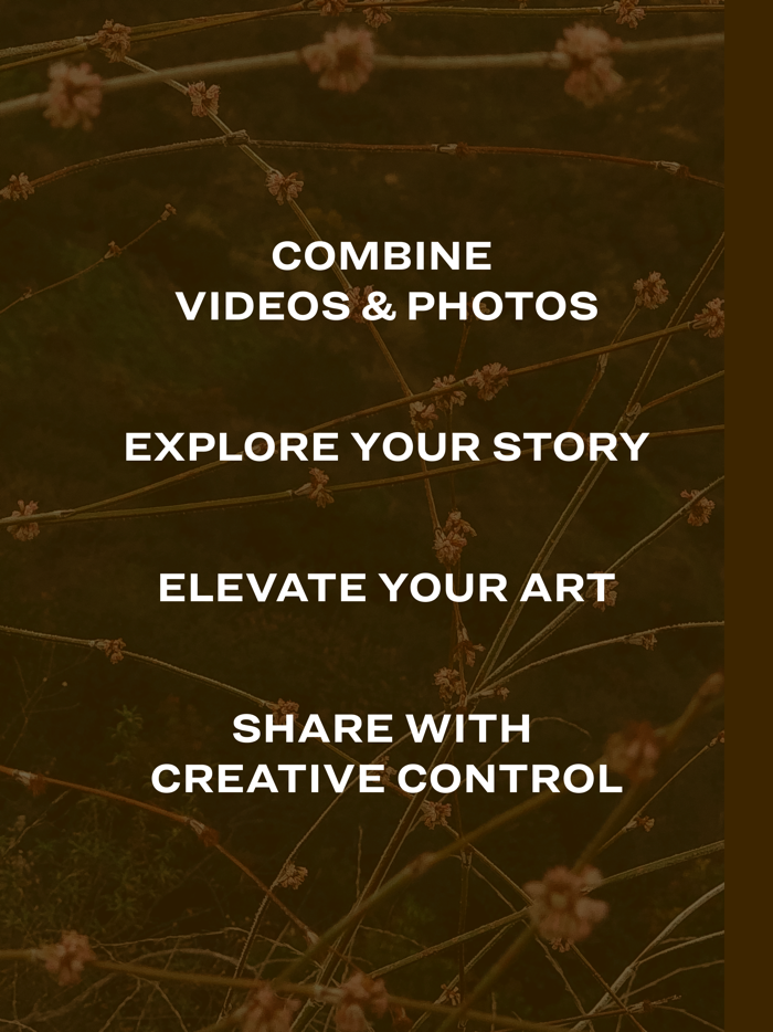 Series Layout for PhotoVideo