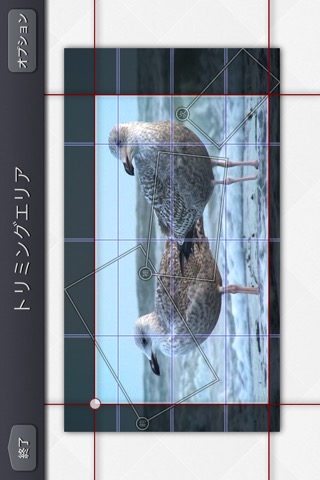 Video Crop & Zoom - HDのおすすめ画像8