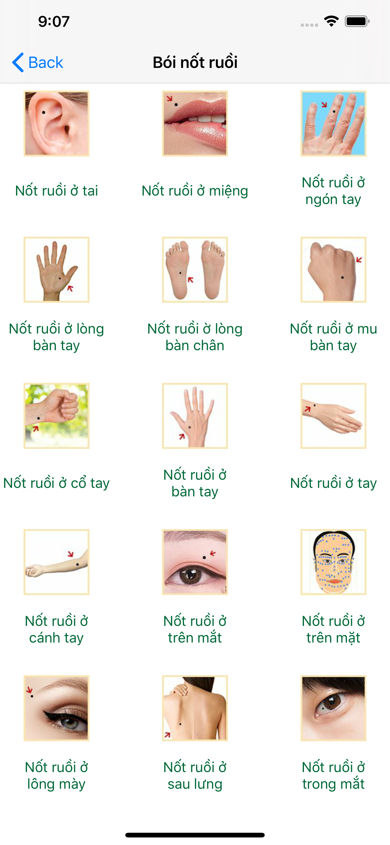 Tu Vi 2020 - Tu Vi Canh Ty