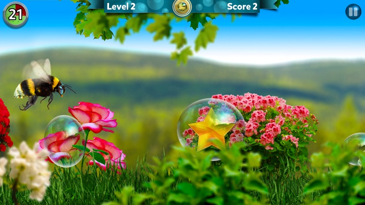 Bugs and Bubbles