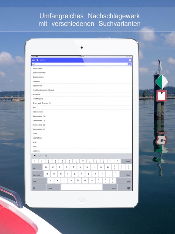 Bootsmanöver Aussenbordmotor iPad screenshot