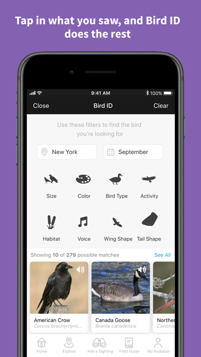 Audubon Bird Guide Screenshot