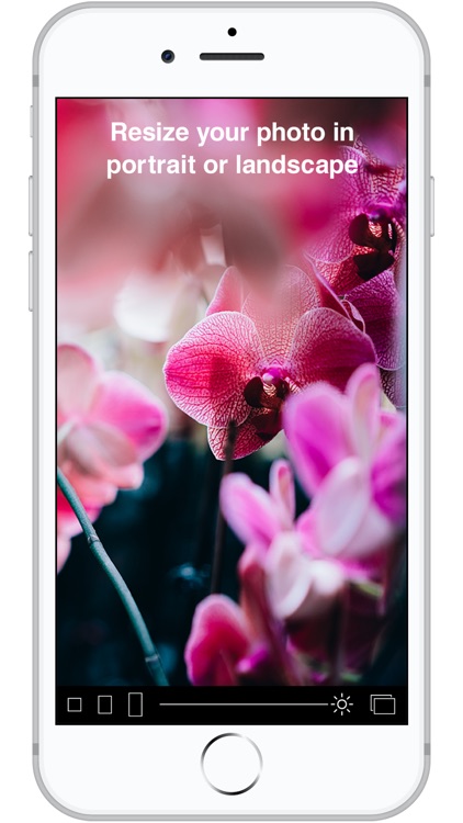 Typograph screenshot-4