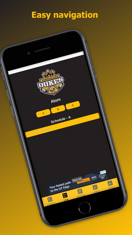 Cumberland Dukes Hockey