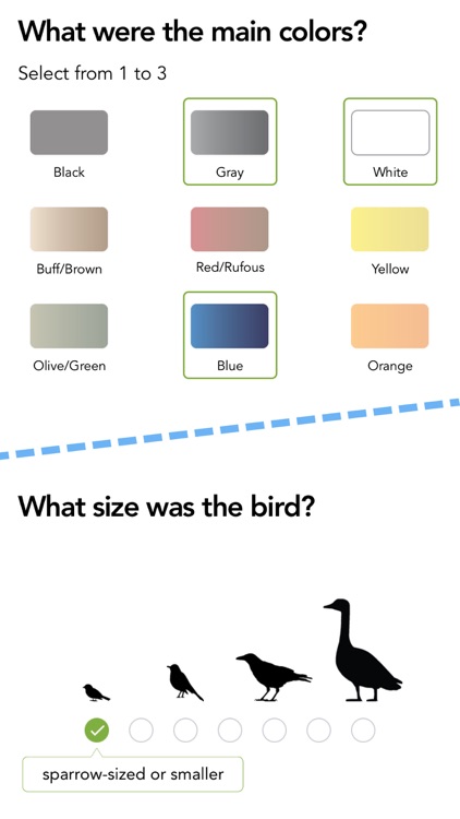 Merlin Bird ID by Cornell Lab screenshot-4
