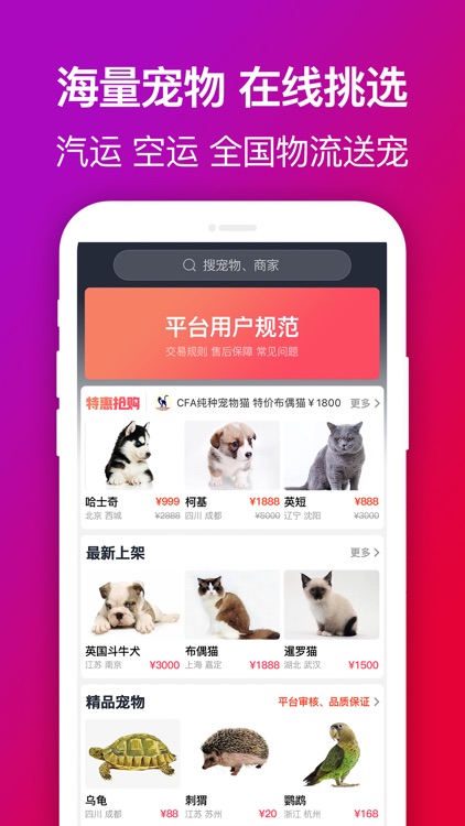 爱宠到家-精品宠物交易平台