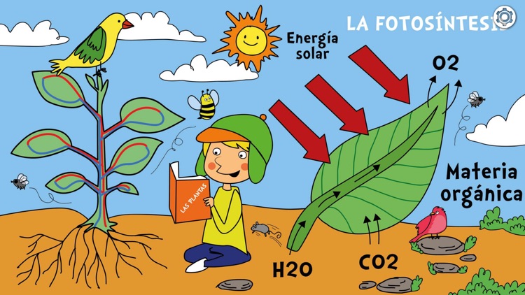 Memorizzers by Cayro screenshot-3