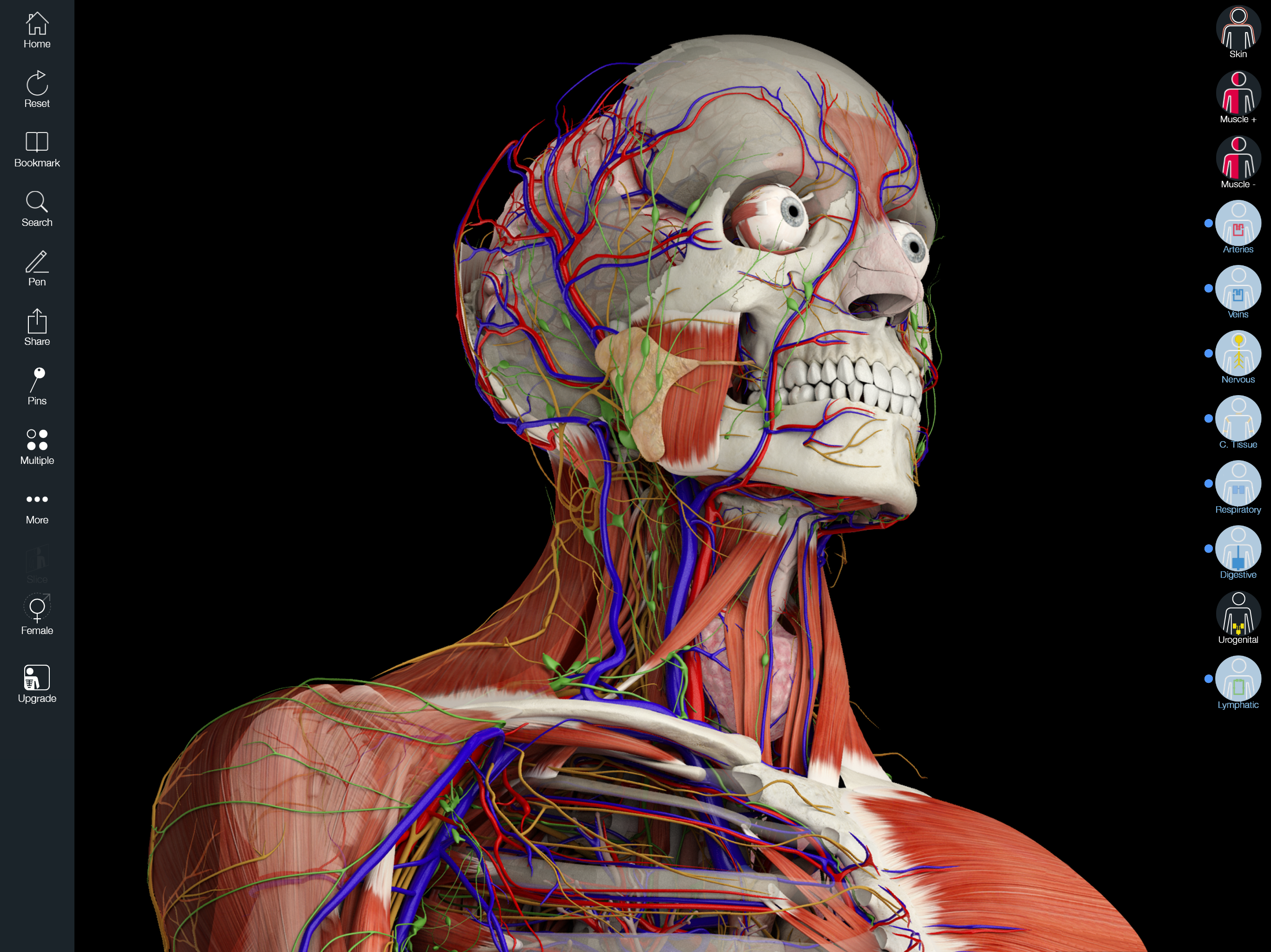 Essential Anatomy 5 screenshot 6
