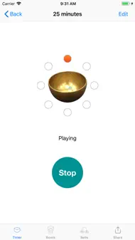 Meditasjonstimer Plus iphone bilder 3